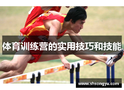 体育训练营的实用技巧和技能