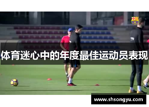 体育迷心中的年度最佳运动员表现