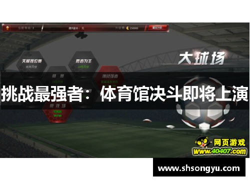 挑战最强者：体育馆决斗即将上演