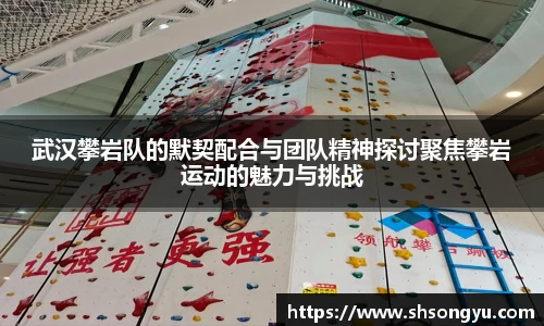 武汉攀岩队的默契配合与团队精神探讨聚焦攀岩运动的魅力与挑战